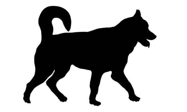 シベリアのハスキー子犬を歩く 黒い犬のシルエット ペット動物 白い背景に隔離されています ベクターイラスト — ストックベクタ
