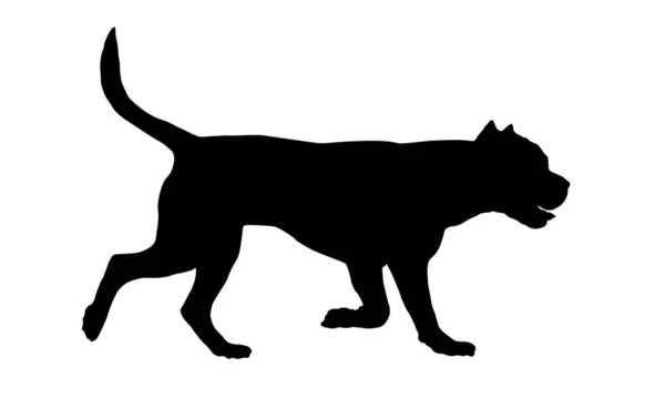 Заправляю Итальянским Корсо Догом Силуэт Чёрной Собаки Животные Изолированный Белом — стоковый вектор