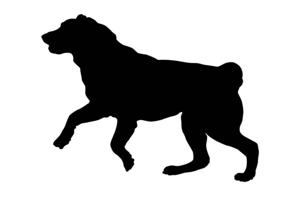 Running Jumping Central Asian Shepherd Dog Puppy Black Dog Silhouette — Stock Vector