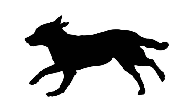 Black Dog Silhouette Running Appenzeller Sennenhund Puppy Appenzeller Cattle Dog — Stock Vector