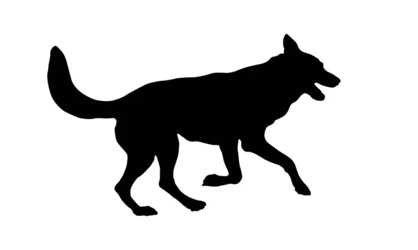 Running Jumping Czechoslovak Wolfdog Puppy Black Dog Silhouette Pet Animals — Stock Vector