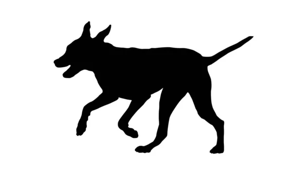 Τρέχει Και Πηδάει Κουταβάκι Δαλματίας Μαύρη Σιλουέτα Σκύλου Ζώα Συντροφιάς — Διανυσματικό Αρχείο