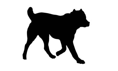 Orta Asya çoban köpeği yavrusu çalıştırmak. Siyah köpek silueti. Evcil hayvanlar. Beyaz bir arka planda izole edilmiş. Vektör illüstrasyonu.