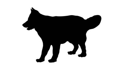 Ayakta duran Alman çoban köpeği. Siyah köpek silueti. Evcil hayvanlar. Beyaz bir arkaplanda izole edilmiş.