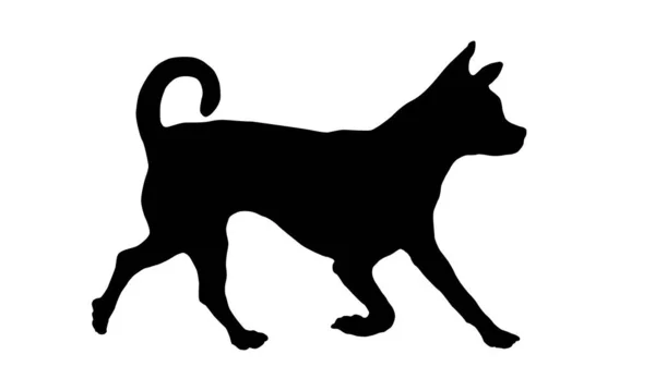 Czarny pies. Biegający szczeniak Chihuahua. Zwierzęta domowe. Izolacja na białym tle. — Wektor stockowy