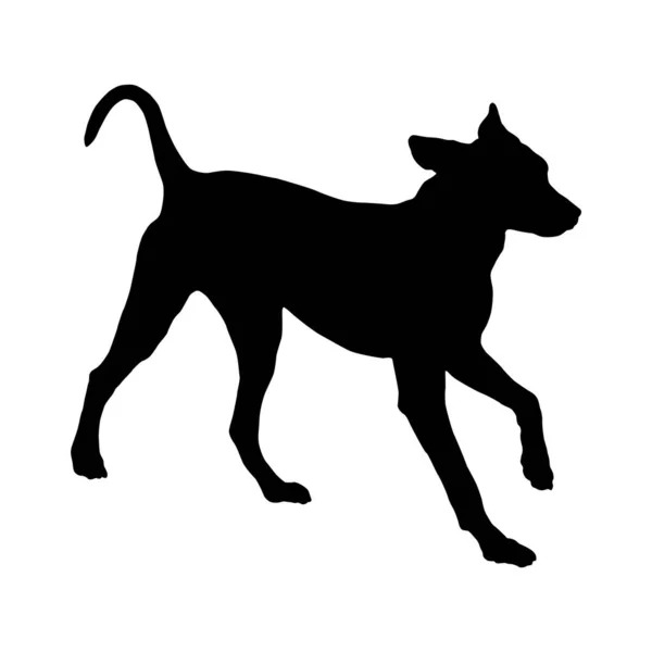 Бегущий щенок далматинской собаки. Силуэт чёрной собаки. Животные. Изолированный на белом фоне. — стоковый вектор