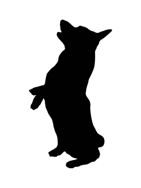 Silhouette de chien noir. Pembroke Welsh Corgi chiot est debout sur ses pattes arrière. Animaux de compagnie. Isolé sur fond blanc. — Image vectorielle