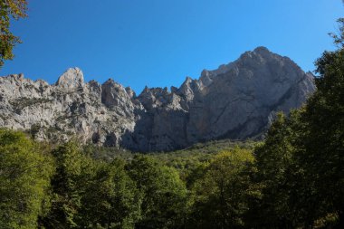 İspanya 'nın kuzeyindeki Cares Doğal Parkı' nda kayalıklardan geçen bir keçi.