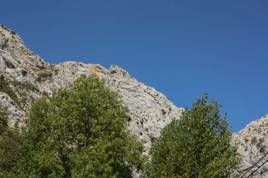 İspanya 'nın kuzeyindeki Cares Doğal Parkı' nda kayalıklardan geçen bir keçi.