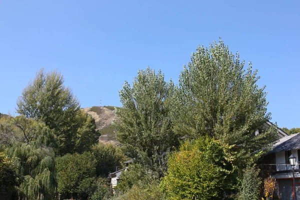 Rihonor de Castilla 'daki Ağaç Manzarası