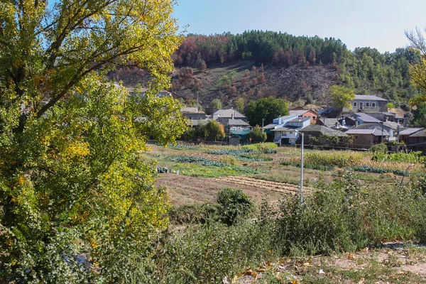 Paisagem Pomar Rihonor Castilla Espanha — Fotografia de Stock