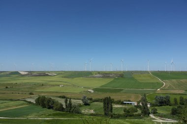 İspanya 'nın Kastilya kentindeki tarım sahalarında güneşli bir bahar gününde arka planda rüzgar türbinleri var.