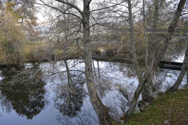 İspanya 'nın Zamora bölgesindeki Sanabria bölgesinde bulutlu bir kış sabahı, ağaçlar arasındaki köprünün yanındaki nehrin suyuna yansıyor.
