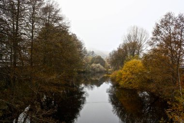 İspanya 'nın Zamora bölgesindeki Sanabria bölgesinde sisli bir kış sabahı ağaçların yansımasıyla nehrin merkezi manzarası