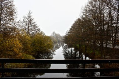 İspanya 'nın Zamora bölgesindeki Sanabria bölgesinde sisli bir kış sabahı köprünün üzerindeki ağaçların yansıması ve nehir manzarası