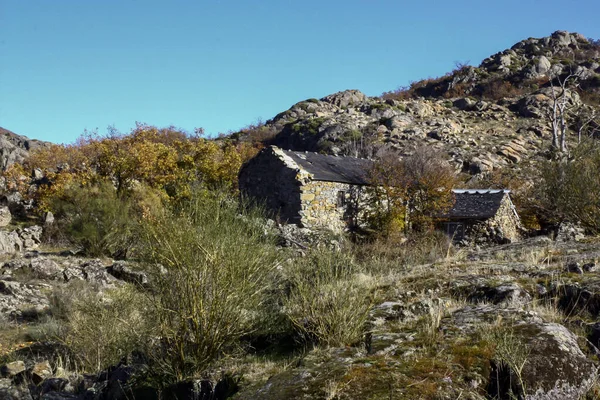 西班牙萨莫拉萨纳布里亚地区 一个阳光明媚的冬日 一座被植被环绕的山顶上 一座废弃的石制牧羊舍正在被废弃 — 图库照片