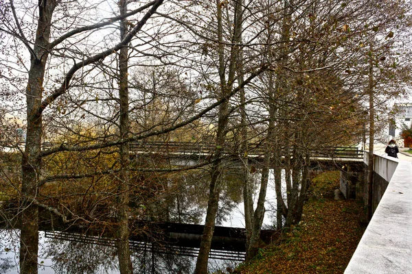 View Bridge River Trees Foggy Winter Morning Sanabria Region Zamora — Stock Photo, Image