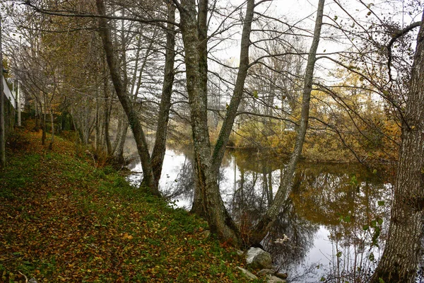Malá Lávka Plná Spadlého Listí Oddělená Stromy Řeky Mlhavého Zimního — Stock fotografie