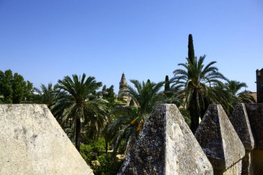 Arka planda Cordoba Camii 'nin çan kulesi olan bir ortaçağ duvarının tepesindeki palmiye bahçesi.