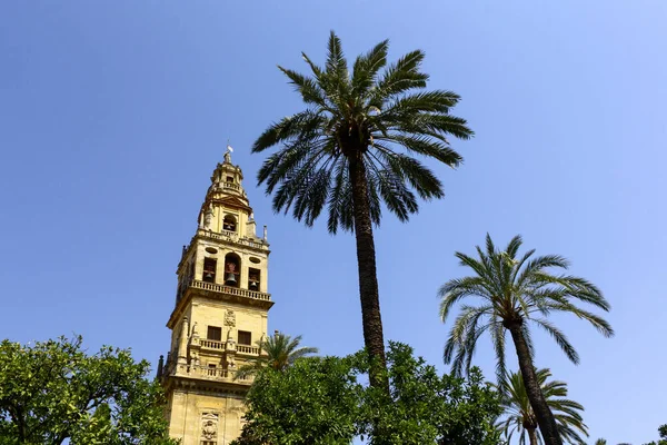 Bell Tower Mezquita Cordoba Spain Next Two Palm Trees Sunny — Stok fotoğraf