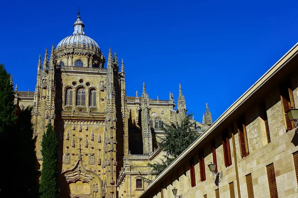 Side Entrance Cathedral Salamanca Spain Protruding Central Dome Top Sunny — Stok fotoğraf
