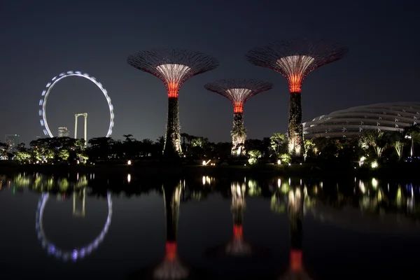 Night view of Gardens by the bay — Stock Photo, Image