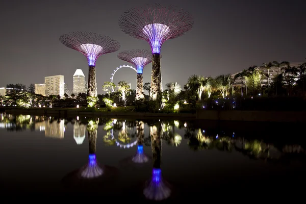 Night view of Gardens by the bay — Stock Photo, Image
