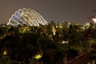 supertree Grove Gardens Körfez gece görünümü