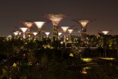 supertree Grove Gardens Körfez gece görünümü