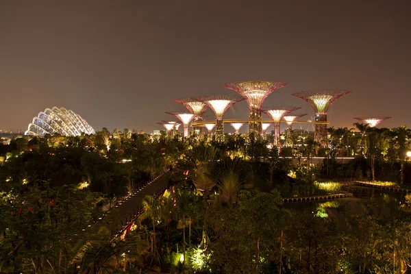 Νυχτερινή άποψη του Άλσους supertree στους κήπους από τον κόλπο — Φωτογραφία Αρχείου