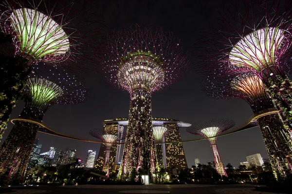 Night view of The Supertree Grove at Gardens by the Bay — Stock Photo, Image