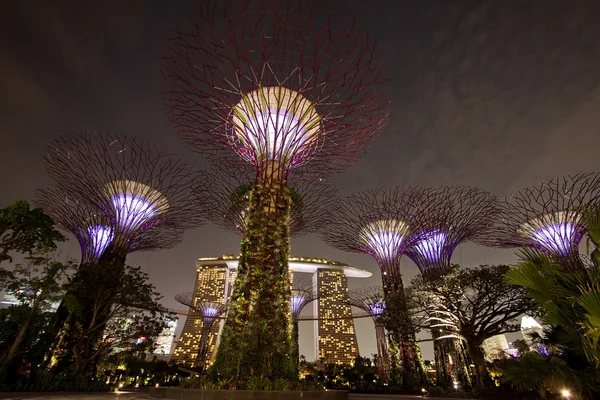 Night view of The Supertree Grove at Gardens by the Bay — Stock Photo, Image