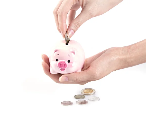 Hand putting money in a piggy bank — Stock Photo, Image