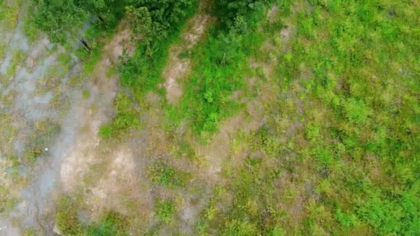 타이의 부리에 광산의 아름다운 비행기 — 비디오