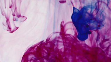 Beyaz bir arkaplan üzerinden suya akan çok renkli sıvının yavaş çekim görüntüsü. Beyaz arkaplandan mavi ve kırmızı pigment mürekkep patlaması.