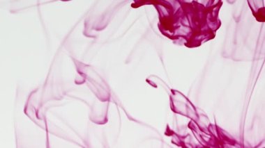 Beyaz arka plan üzerinden suya akan kırmızı sıvının yavaş çekim görüntüsü. Beyaz arkaplandan kırmızı pigment mürekkep patlaması.