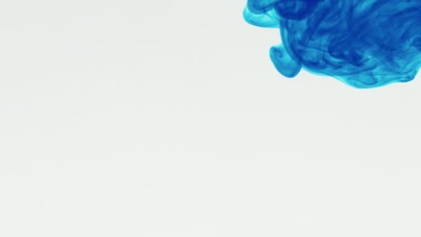 Замедленная Съемка Синей Жидкости Текущей Воду Белом Фоне Синий Пигмент — стоковое видео
