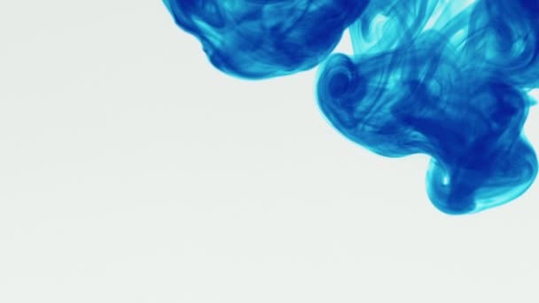 蓝色液体在白色背景上流入水中的慢镜头 蓝色素油墨水从白底喷涌而出 — 图库视频影像