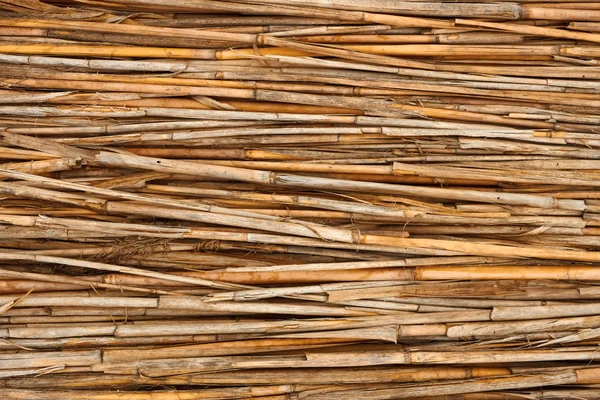 Detail of reed fence — Stock Photo, Image