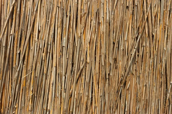 Фрагмент тростникового забора — стоковое фото