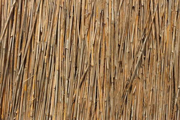 Fragment of reed fence as a texture