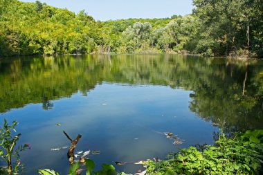 Yaz aylarında gölde küçük orman