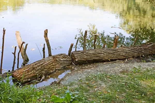 Wooden logs on the bank — Stock Photo, Image