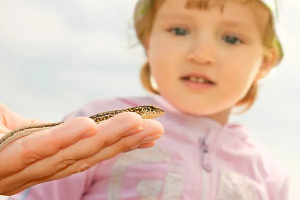 Menina assistindo no lagarto — Fotografia de Stock