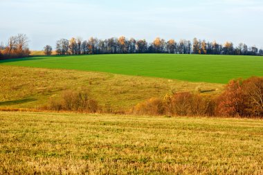 Fields and meadows in autumn clipart