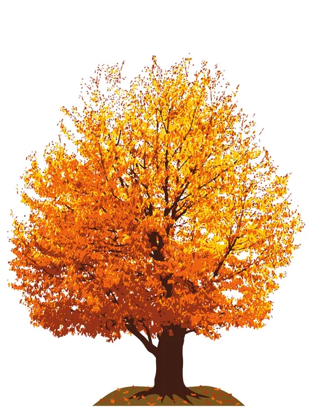 Illustrazione albero ciliegio autunno — Foto Stock