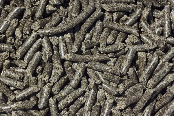 Pellets torta de aceite de girasol — Foto de Stock