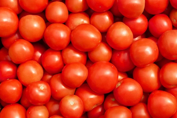 Mnoho zralých červených rajčat — Stock fotografie