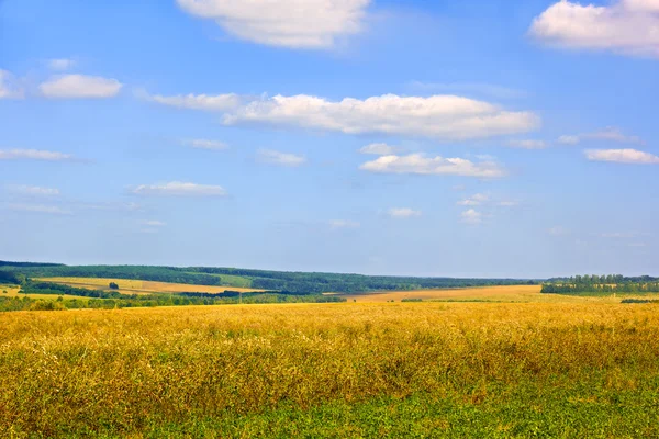 Paesaggio rurale di fine estate — Foto Stock
