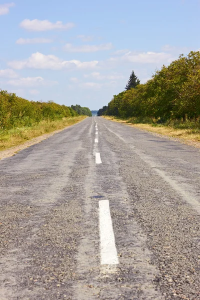 Lantlig asfalterad väg — Stockfoto